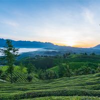 500萬噸/年！湖北儲量約1.12億噸建筑用花崗巖礦擬掛牌出讓