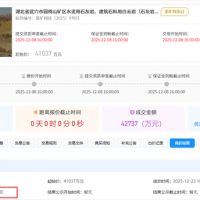 1.5元/噸！亞東水泥競得湖北武穴950萬噸/年砂石大礦